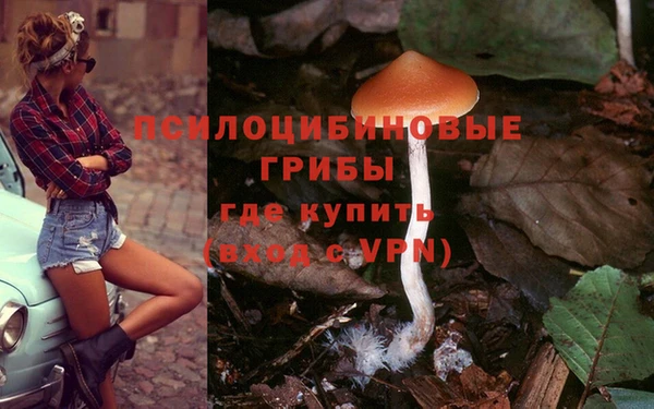 spice Алзамай
