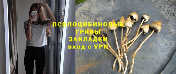 spice Алзамай